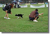 DSC_3539.jpg