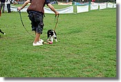 DSC_3540e.jpg