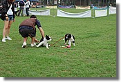 DSC_3541.jpg