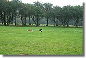 DSC_3551e.jpg