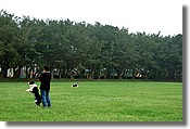 DSC_3555e.jpg