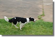 DSC_3559.jpg