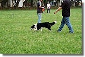 DSC_3561e.jpg