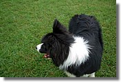 DSC_3567e.jpg