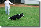DSC_3568e.jpg