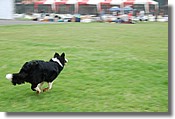 DSC_3569e.jpg