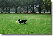 DSC_3577e.jpg