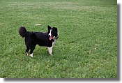 DSC_3578e.jpg