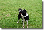 DSC_3580e.jpg