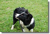 DSC_3581e.jpg