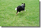 DSC_3583e.jpg