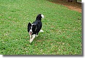 DSC_3584e.jpg