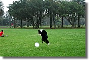 DSC_3585e.jpg