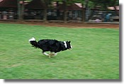 DSC_3590e.jpg