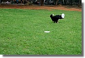 DSC_3591e.jpg