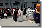 DSC_3676e.jpg