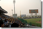 DSC_3702e.jpg