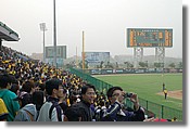 DSC_3718e.jpg