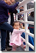DSC_3732e.jpg